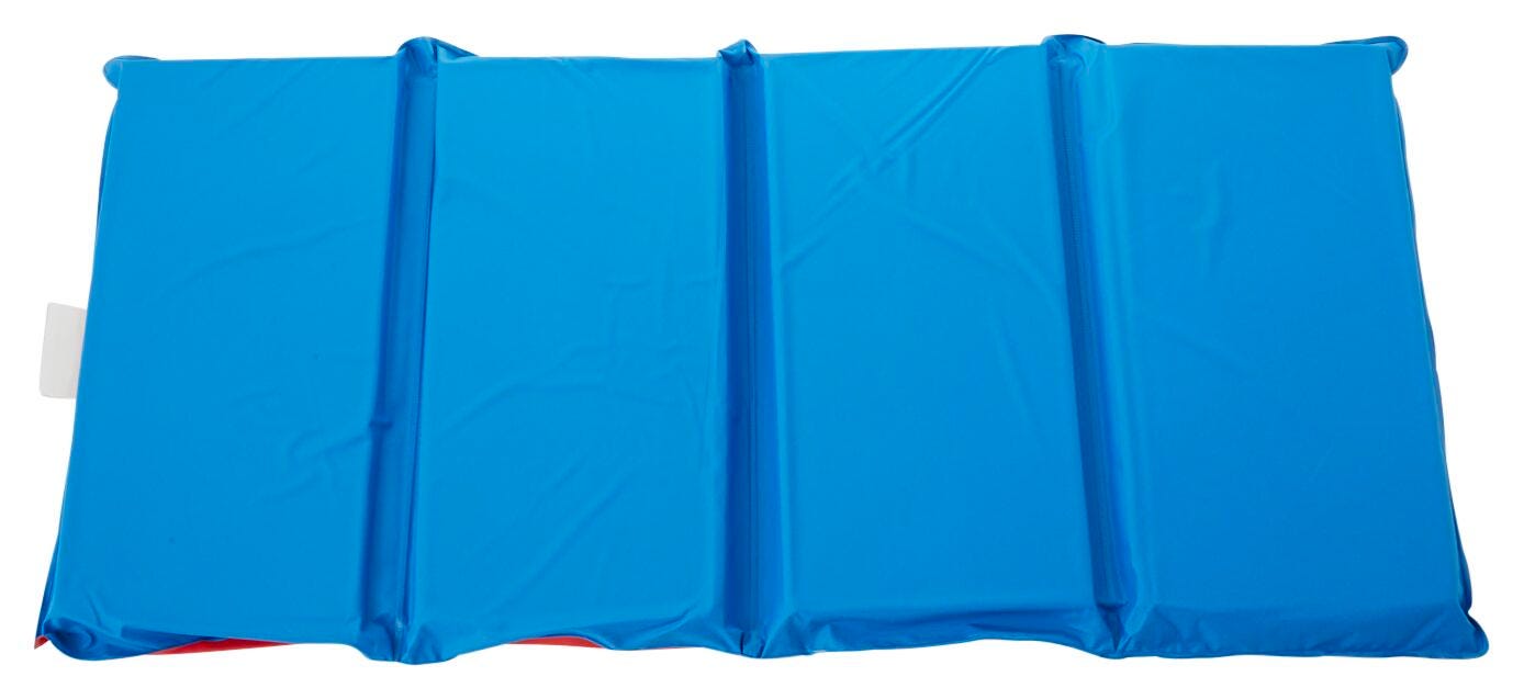 Childcraft Premium 4-Fold Rest Mat, 48 x 24 x 1 Inches, Red/Blue 2026838